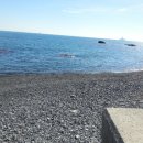 금솔민박 이미지