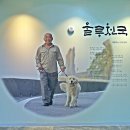 울릉천국아트센터 이미지