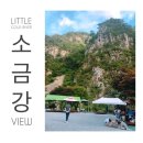 맑은물펜션 | 경북 문경 계곡 펜션/문경 계곡근처 펜션/진남 소금강 휴게소/ 문경가볼만한곳 추천여행지