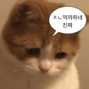 탑텐 알바 3주차 후기 (부제 : 천국을 등진 난)