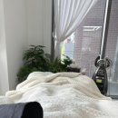 유헤어힐링 | 천안 성성동 미용실ㅣ 온리유헤어에서 펌 후기 김주향 디자이너님의 섬세한 손길 (feat 아윤체 제품)