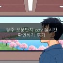 경주 보문단지 cctv 실시간 확인하기 후기! 방문 전 꼭 봐야 할 꿀팁은?