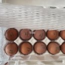 참샘골농장 이미지