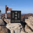 예산-08 이미지
