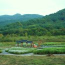 들국화 펜션 이미지