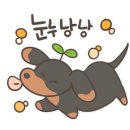 이가네한우 이미지