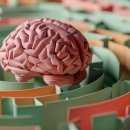 건강운동 이미지