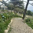 파인 관광농원 이미지