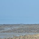 대부도관광안내소 이미지