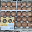 다담식자재마트 | [다담몰 | 다담식자재마트] 특란 계란 30구 7,900원 | 물푸원 요거트 6,980원