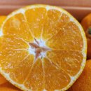 세일농장 이미지