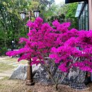 동하펜션 이미지