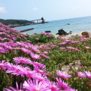 경정민박 이미지