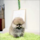 행정타운로 이미지