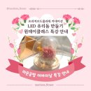 원데이 어버이날 프리저브드 카네이션 유리돔 만들기 | <특강안내> 어버이날 프리저브드플라워 LED 유리돔 만들기 원데이클래스