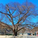 상북초등학교소호분교장 이미지