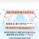 세종샤인발레학원 이미지