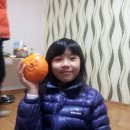 레드향 민박 이미지