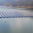 신기태양광발전소 이미지