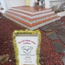 달자 | [천안 카페] 강아지가 있는 걸로 유명한 "달자커피" 후기