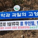 텐 무인텔 이미지