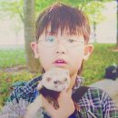 윤중 이미지