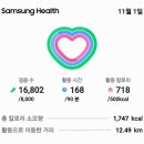 11/01첫째주토요일오전주차장근무를대리시키고우제공종중시제참석을했는데참석제관들이해마다줄어걱정이다오후엔주차장근무를하며만보인증을 이미지