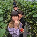 씨유 서대구센트럴자이원대점 | 우리 아이들과 떠난 고령 현장체험학습 후기 🍓