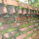 효리 경로당 이미지