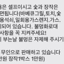 스테이청포 이미지