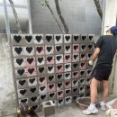 천호닭발