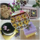 떡제조기능사자격 이미지