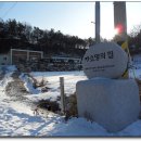 채련화미용실 Daum카페