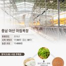 김영길농장 이미지