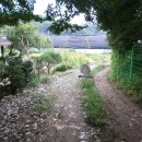 내곡동271 이미지