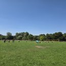 맥주정원 이미지