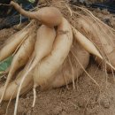 신사2-011 이미지