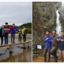 재단법인 산림힐링재단 네이버블로그