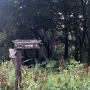 허브밸리 | 7월 지리산 바래봉 최단코스 후기 (지리산 허브밸리 주차장-운지사 갈림길-바래봉)