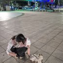 승언게스트하우스