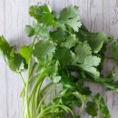 고수1로 이미지