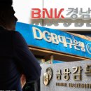양양플랫폼 이미지