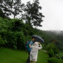 영식농장 이미지