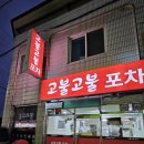 단비포차 이미지