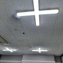 수원-0175 이미지