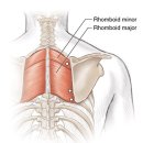 가산곧바로의원 이미지