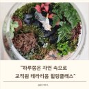 자연가습 이끼 테라리엄 | 교직원연수·기업강의 자연 속으로 한 걸음, 테라리움 힐링클래스 [출강 가능]