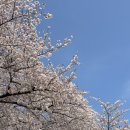 진희로-2 | 창원 진해 속천항 세모로페스타 야장 냉삼 마지막날 방문후기