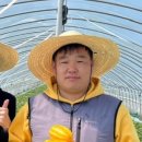 청년참외 네이버블로그