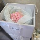 [본식부케]10만원대 가성비 부케'피어리부케' 핑크 튤립 본식 후기!(+가격 공개!)
